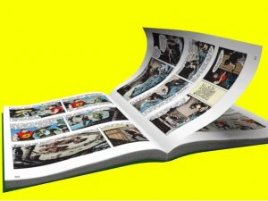 book rig for maya 3D Model