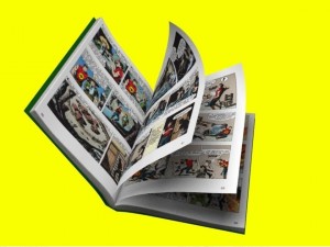 book rig for maya 3D Модель
