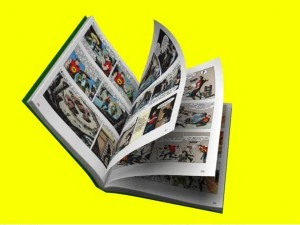 book rig for maya 3D Model