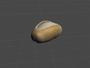 french bread 3D 模型