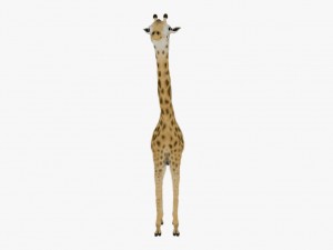 Giraffe rothschilds - rigged 3D Модель