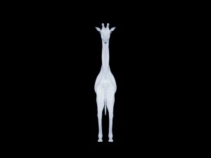 Giraffe rothschilds - rigged 3D Model
