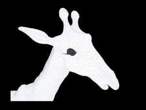 Giraffe rothschilds - rigged 3D Модель