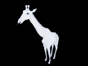 Giraffe rothschilds - rigged 3D Модель