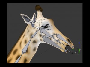 Giraffe rothschilds - rigged 3D Модель