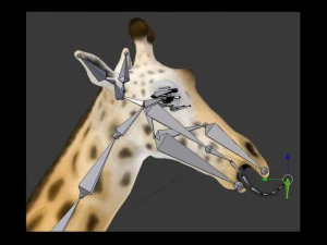 Giraffe rothschilds - rigged 3D Model