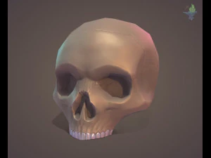 Low Poly Skull 3D Model