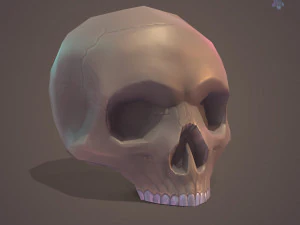 Low Poly Skull 3D Model