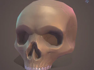 Low Poly Skull 3D Model