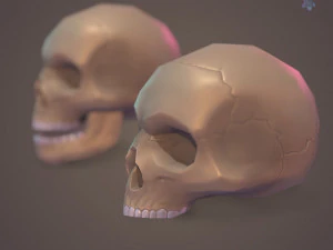 Low Poly Skull 3D Model