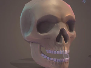 Low Poly Skull 3D Model