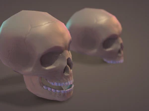 Low Poly Skull 3D Model
