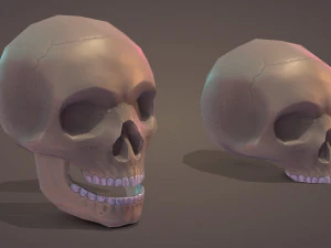 Low Poly Skull 3D Model
