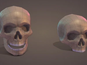 Low Poly Skull 3D Model
