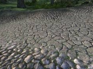 texture 3D 모델