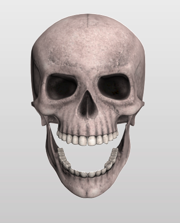 skull 3D मॉडल .c4d .max .obj .3ds .fbx .stl .blend 
