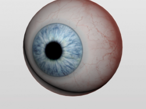 eyeball 3D Model