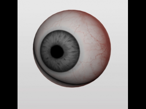 eyeball 3D Модель