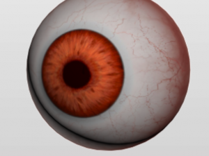 eyeball 3D Модель