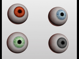 eyeball 3D Модель