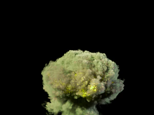 nuclear explosion phoenixfd 3D Model