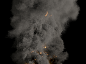 volcano explosion phoenixfd 3D Model