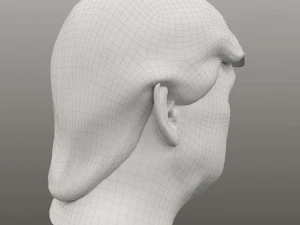 donald trump bust 3D Model