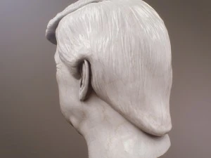 donald trump bust 3D Model