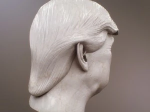 donald trump bust 3D Model