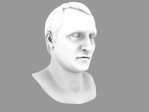 napoleon bonapart bust 3D 모델