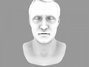 napoleon bonapart bust 3D 모델