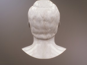 napoleon bonapart bust 3D 모델