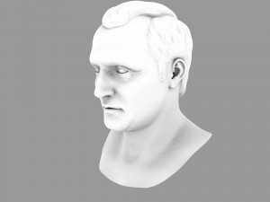 napoleon bonapart bust 3D 모델