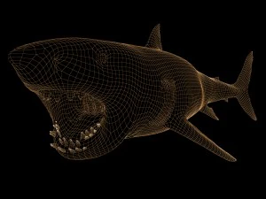 white shark rigged 3D Model