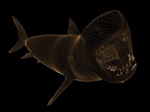 white shark rigged Model 3D