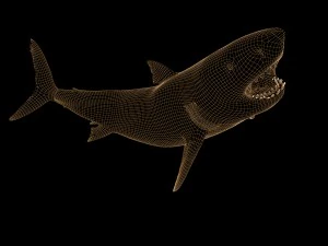 white shark rigged 3D Model