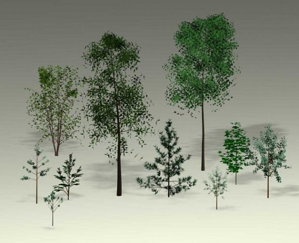 natural sight tree 3D-Modell .c4d .max .obj .3ds .fbx .stl .blend 