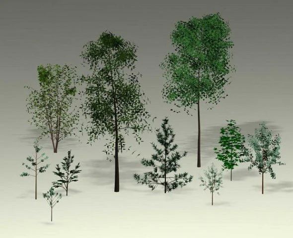 natural sight tree 3D Model .c4d .max .obj .3ds .fbx .stl .blend