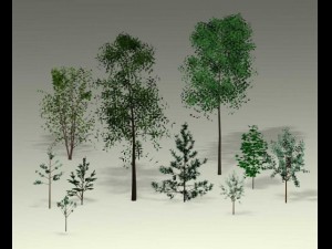 natural sight tree 3D-Modell