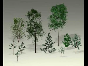 naturalne drzewo widokowe Model 3D