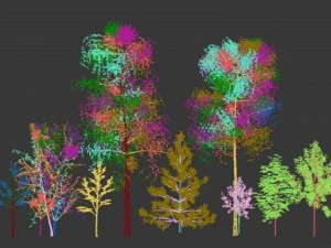 natural sight tree 3D Model