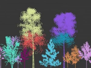 natural sight tree 3D Model