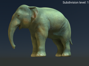 young asian elephant 3D 모델