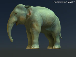 young asian elephant 3D Model