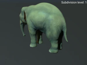 young asian elephant 3D Model