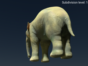 young asian elephant 3D 모델