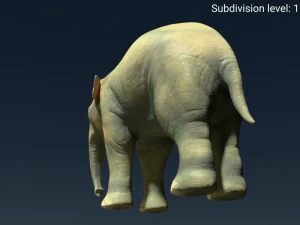 young asian elephant 3D Model