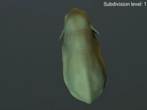 young asian elephant 3D Model