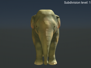 young asian elephant 3D 모델