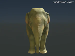 young asian elephant 3D Model